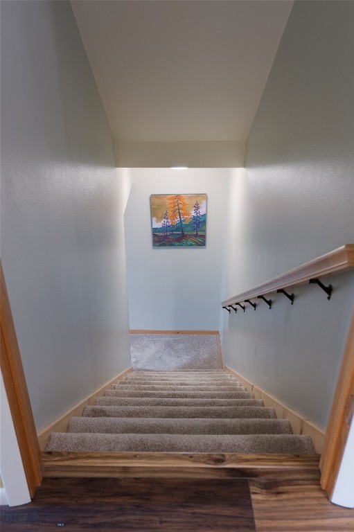 4 Sphinx Drive Property Photo 29