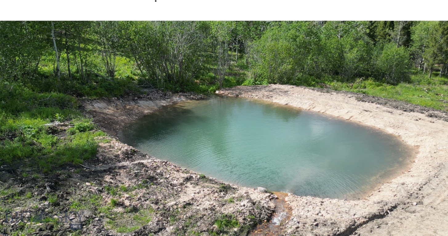 8 Tract, Hall Creek Property Photo 3