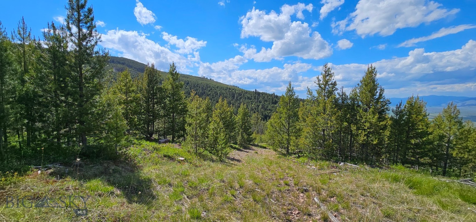 8 Tract, Hall Creek Property Photo 4