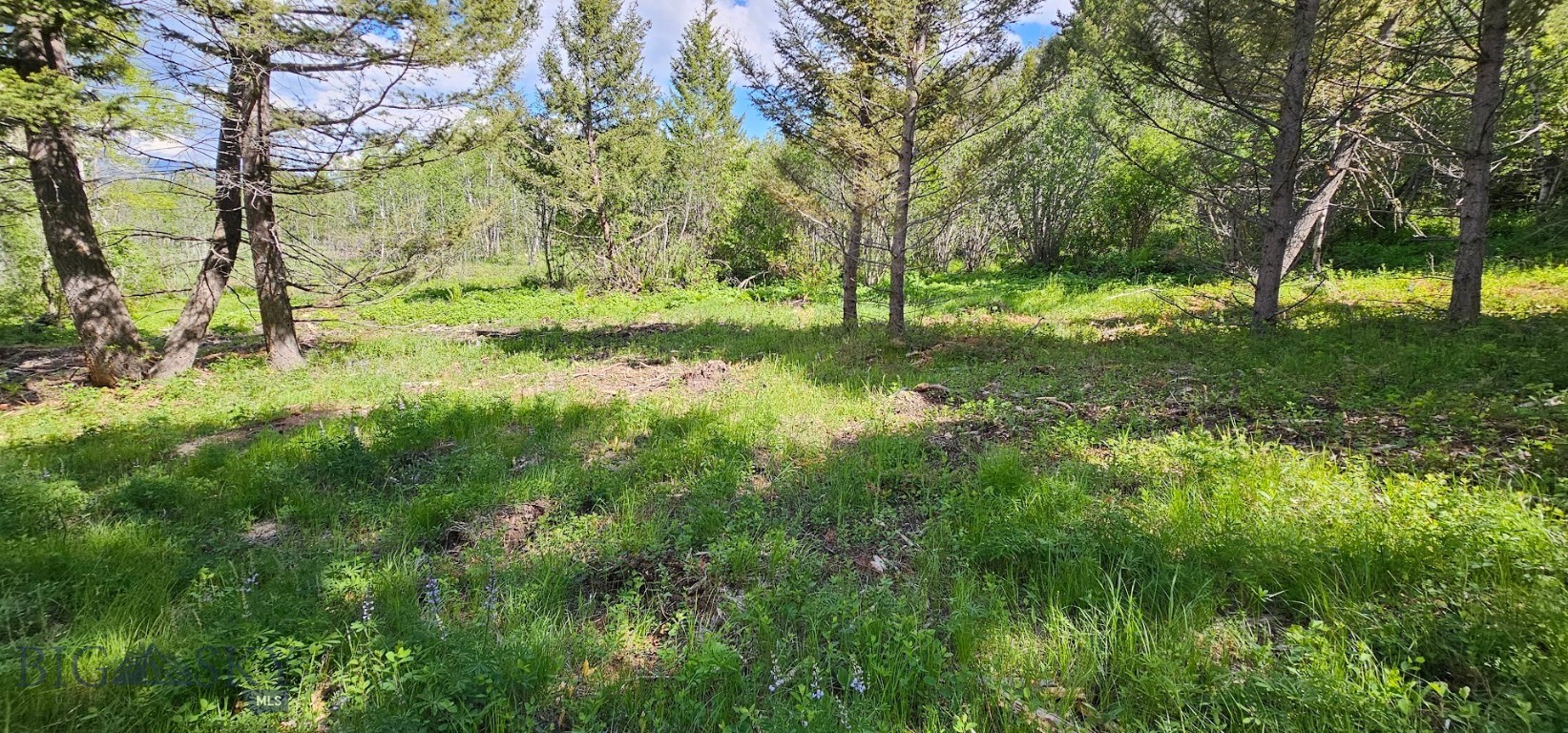 8 Tract, Hall Creek Property Photo 6