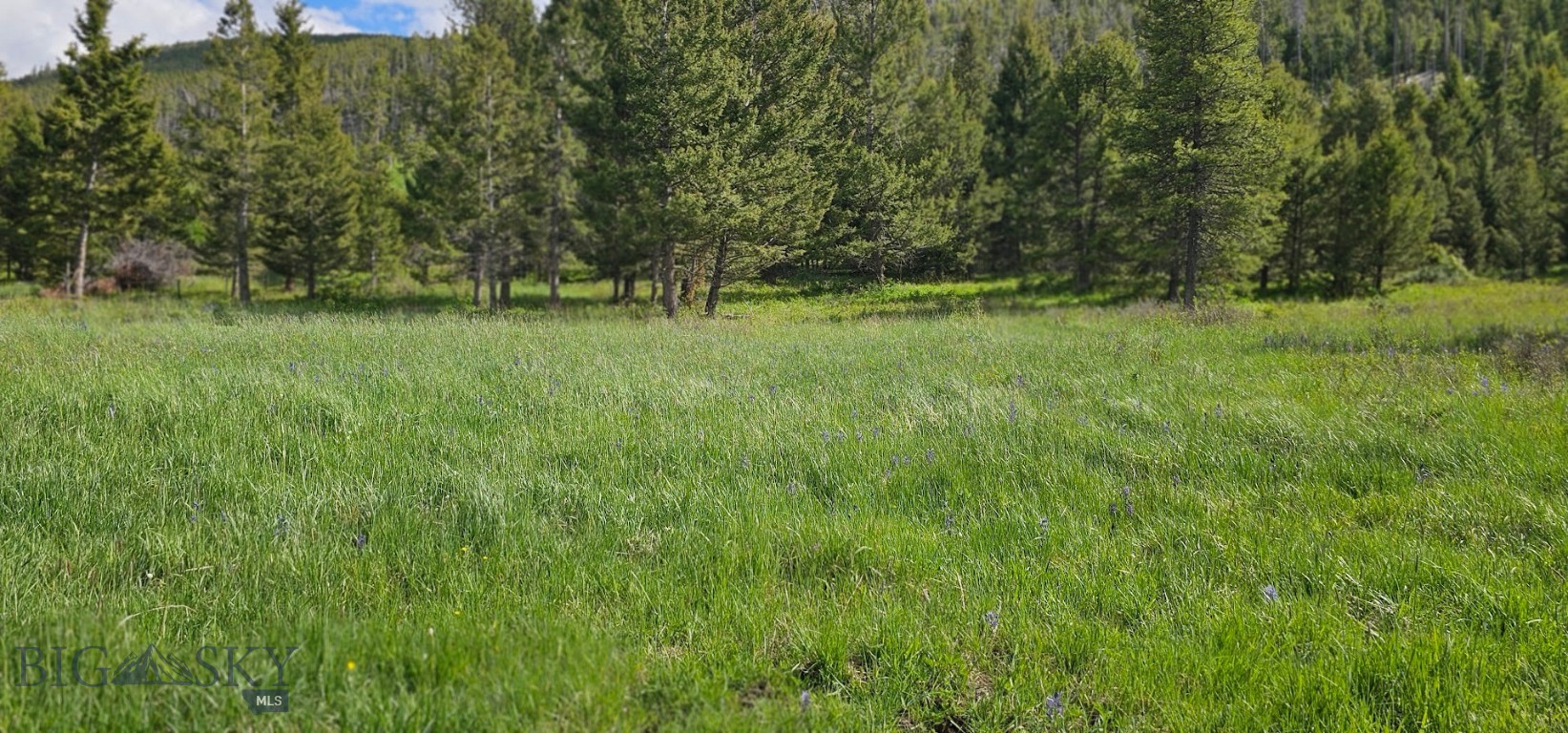8 Tract, Hall Creek Property Photo 8