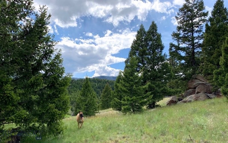 3414 Divide Creek Property Photo 2
