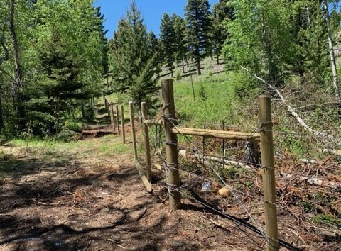 3414 Divide Creek Property Photo 10