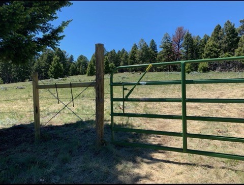 3414 Divide Creek Property Photo 12
