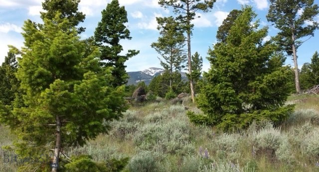 3414 Divide Creek Property Photo 19