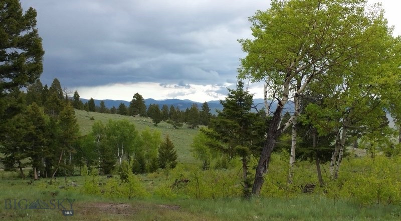 3414 Divide Creek Property Photo 20