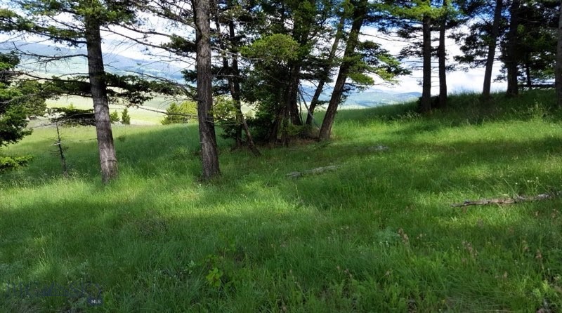 3414 Divide Creek Property Photo 43