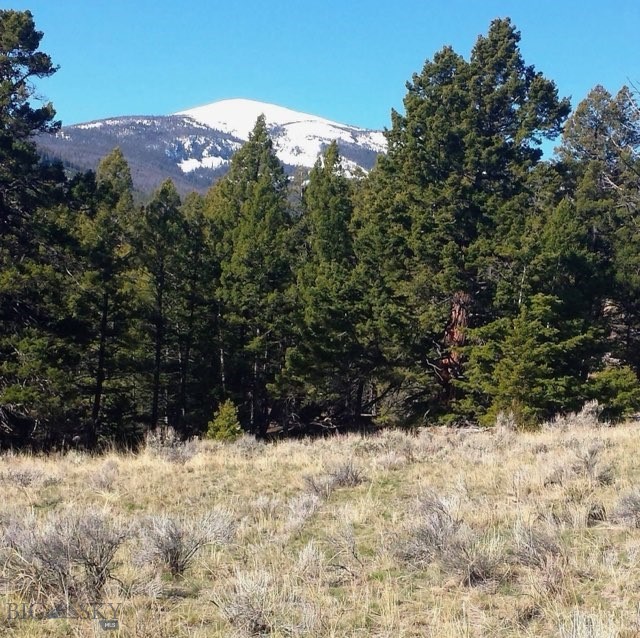 3414 Divide Creek Property Photo 45