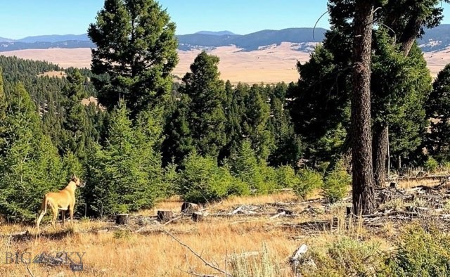 3414 Divide Creek Property Photo 46