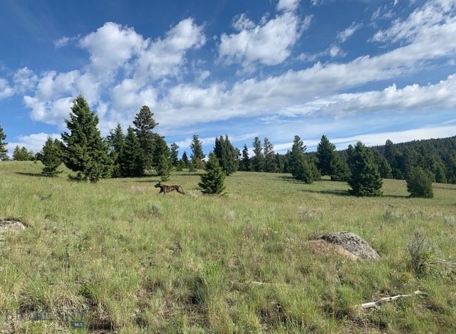 3414 Divide Creek Property Photo 48