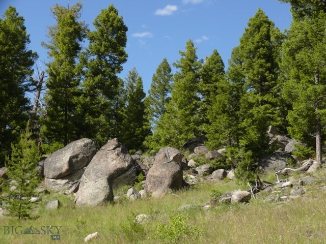 3414 Divide Creek Property Photo 50