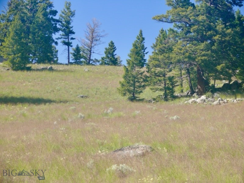 3414 Divide Creek Property Photo 52