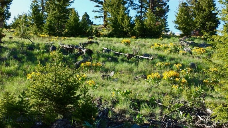 3414 Divide Creek Property Photo 55