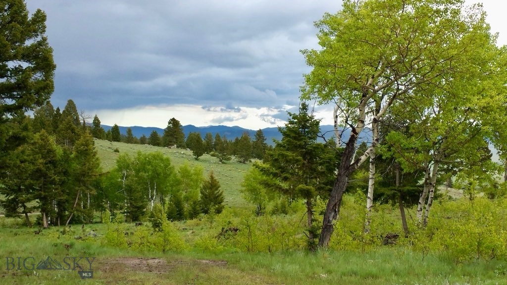 3414 Divide Creek Property Photo 56