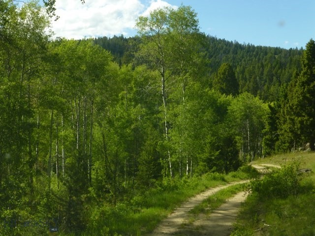 3414 Divide Creek Property Photo 59