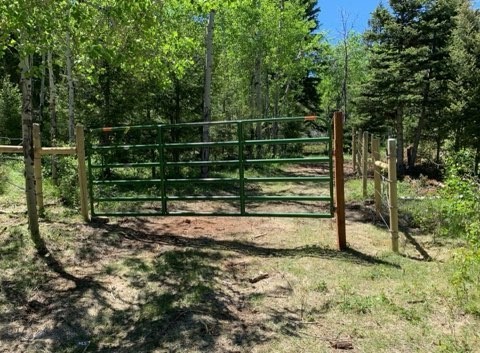 3414 Divide Creek Property Photo 60