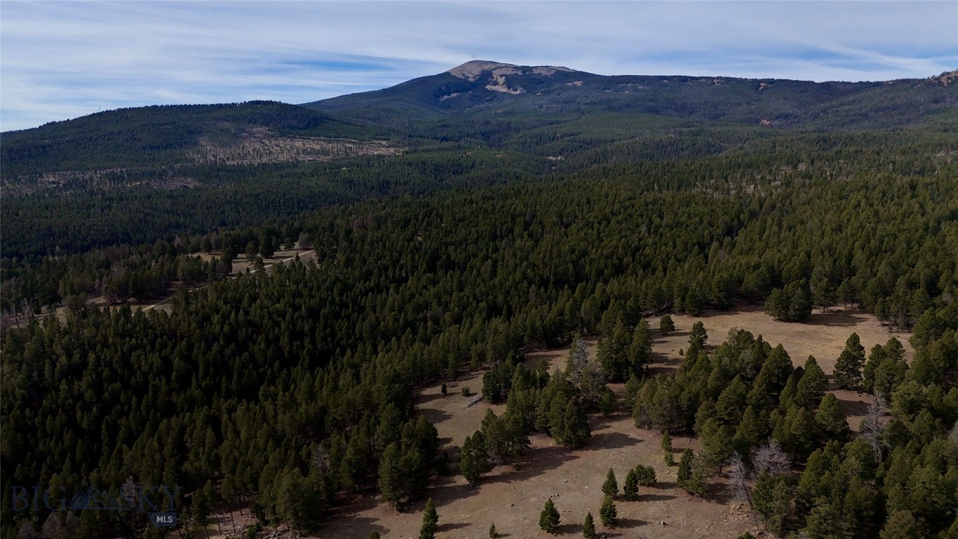 3414 Divide Creek Property Photo 61
