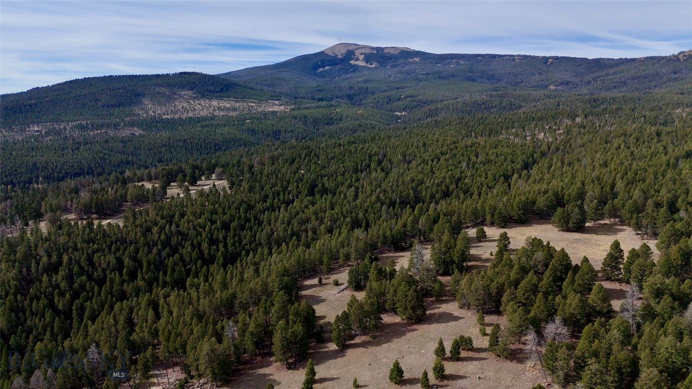 3414 Divide Creek Property Photo 62