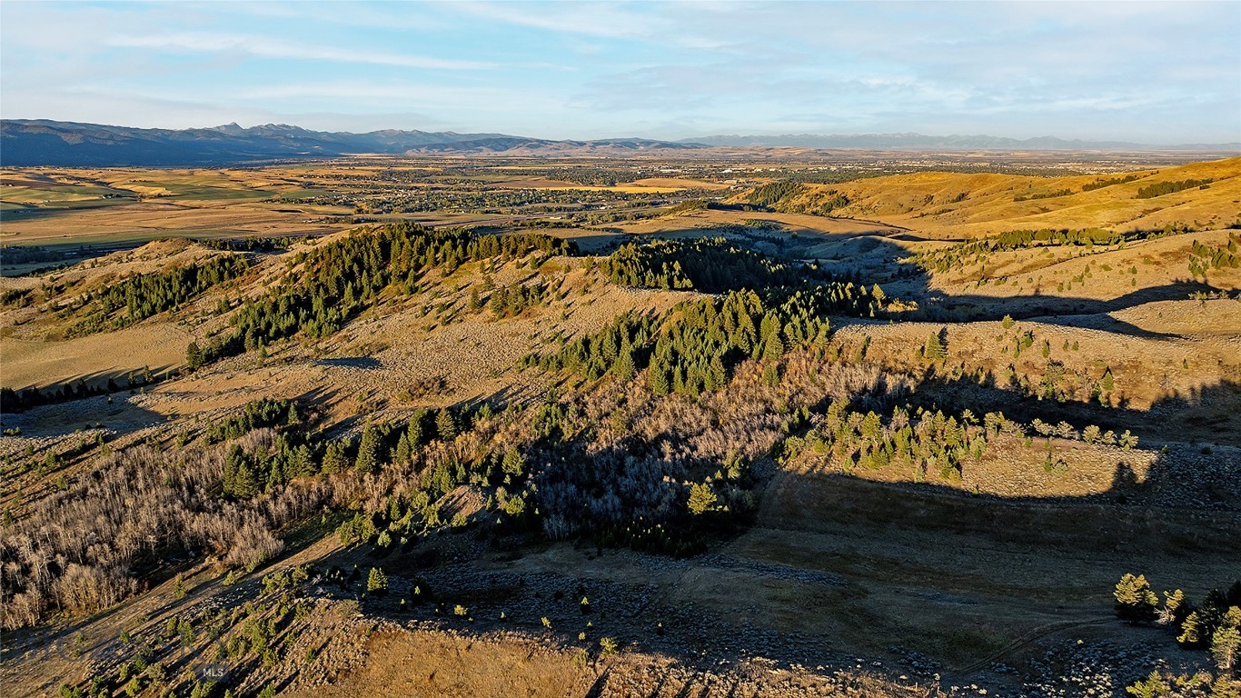 Nhn Kelly Canyon Road Property Photo 20