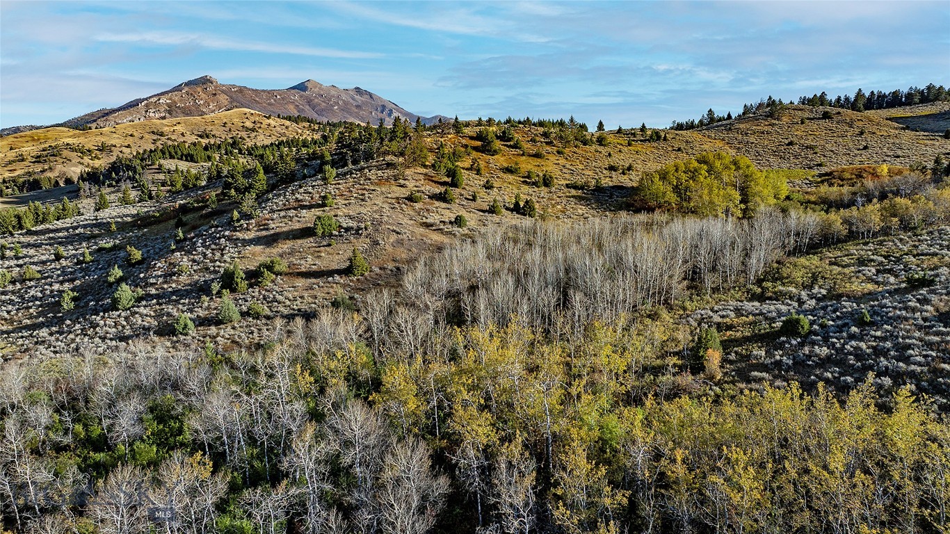 Nhn Kelly Canyon Road Property Photo 21