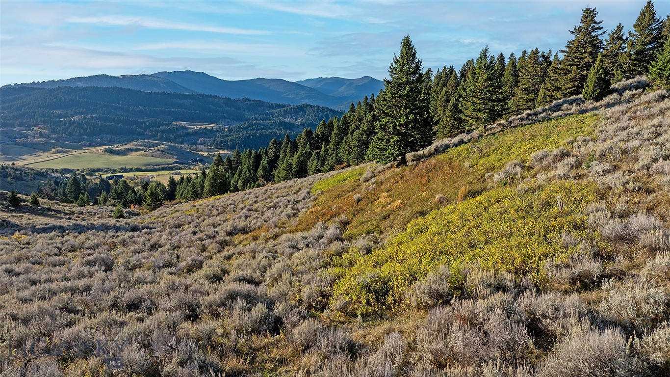 Nhn Kelly Canyon Road Property Photo 24
