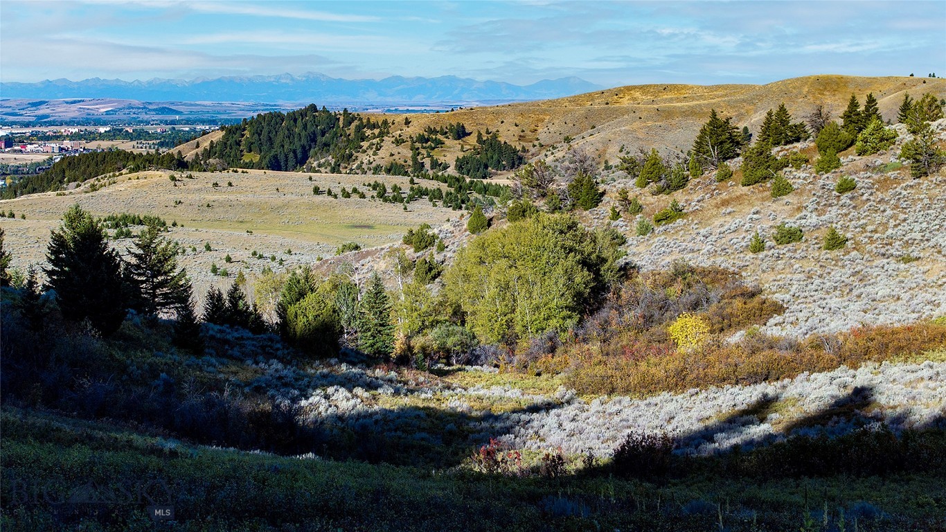 Nhn Kelly Canyon Road Property Photo 25