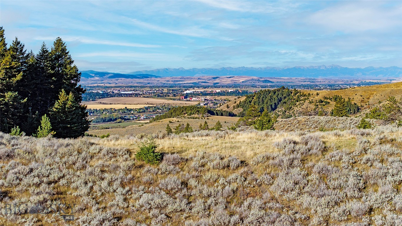 Nhn Kelly Canyon Road Property Photo 26