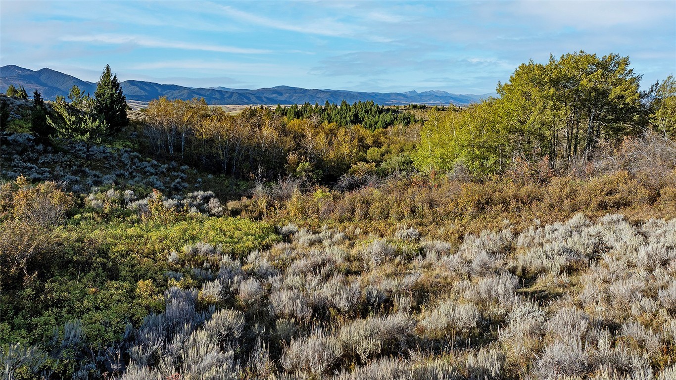 Nhn Kelly Canyon Road Property Photo 27