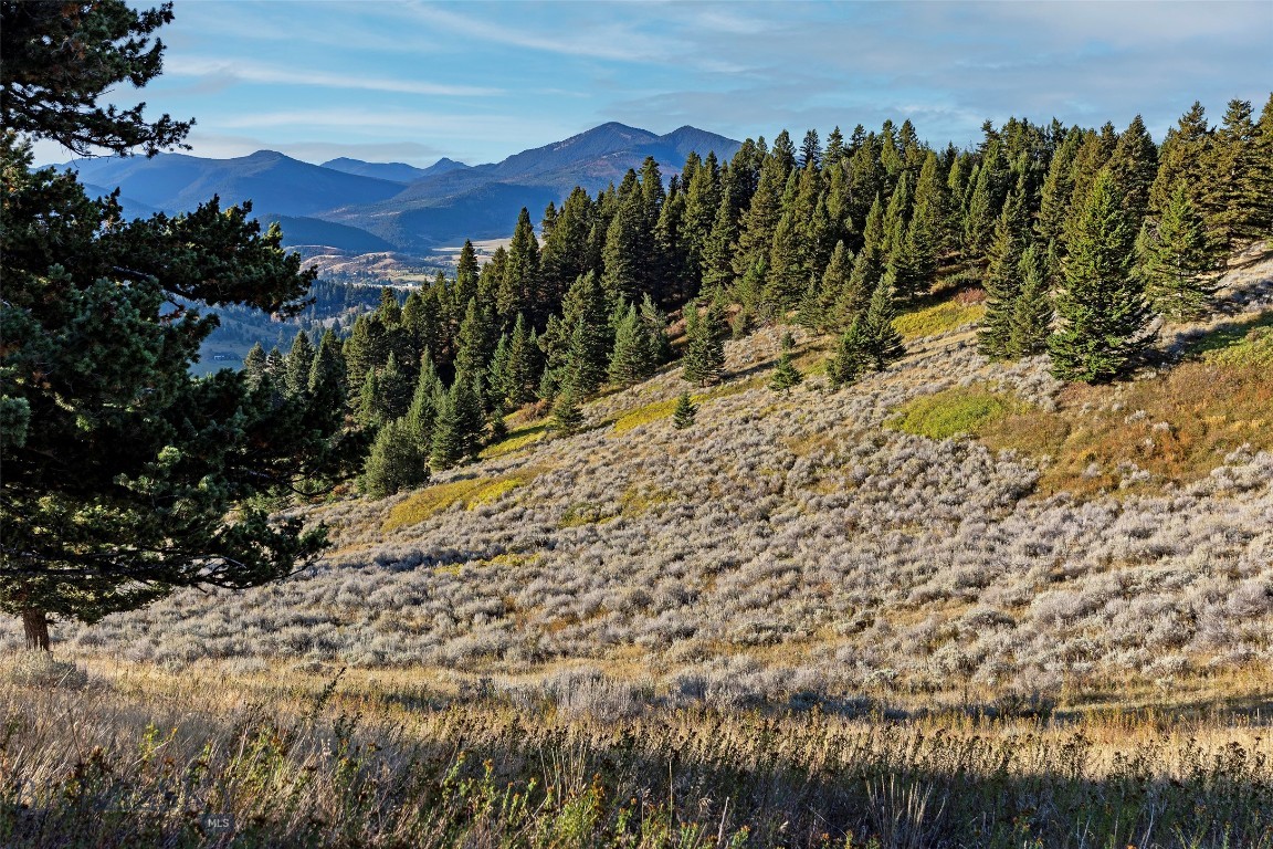 Nhn Kelly Canyon Road Property Photo 28