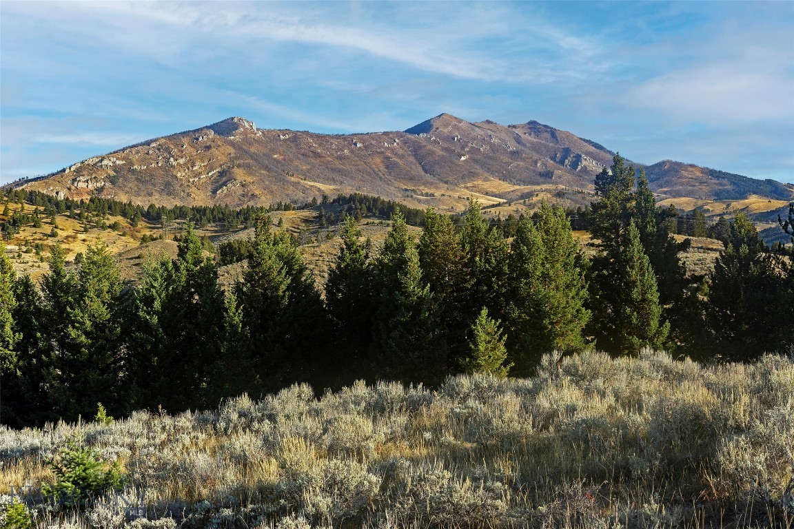 Nhn Kelly Canyon Road Property Photo 29