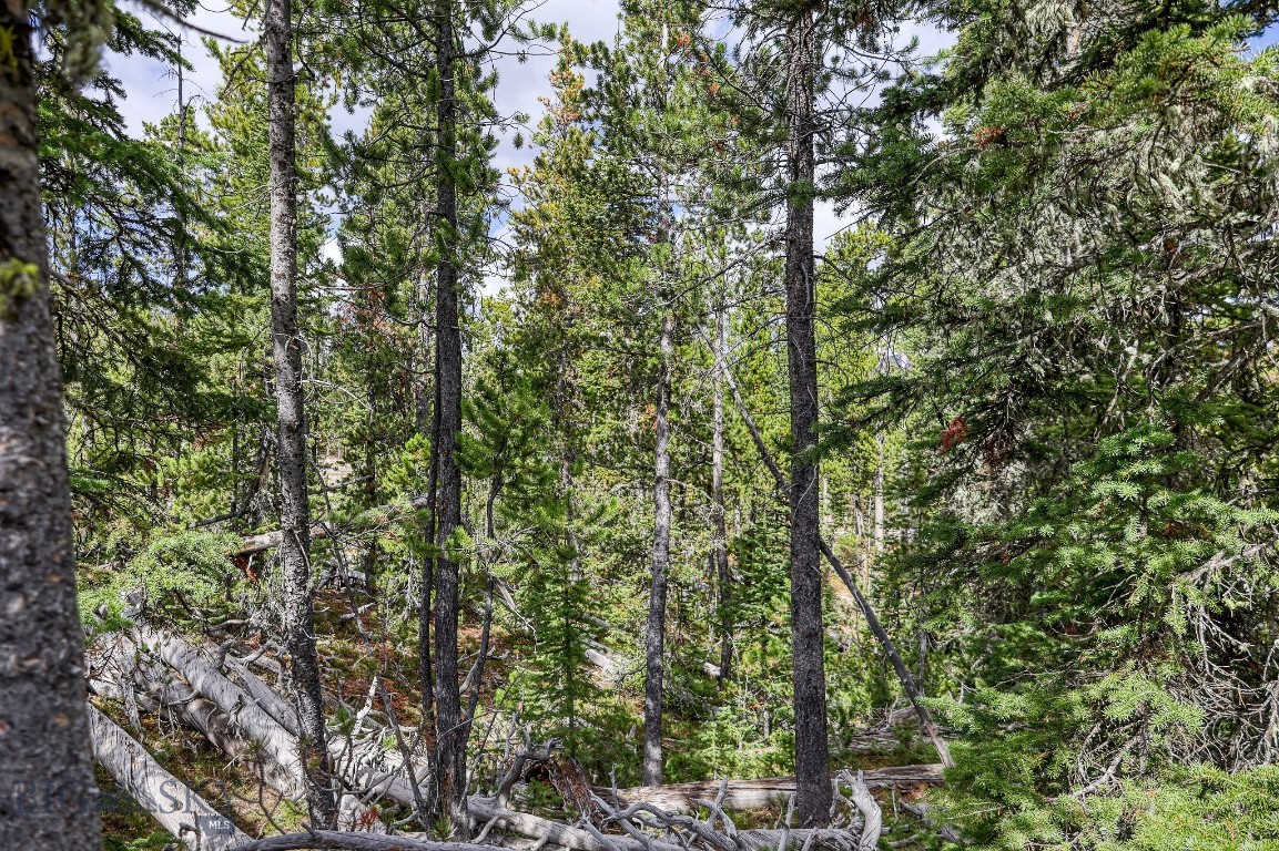 Tbd Territorial Drive Property Photo 4