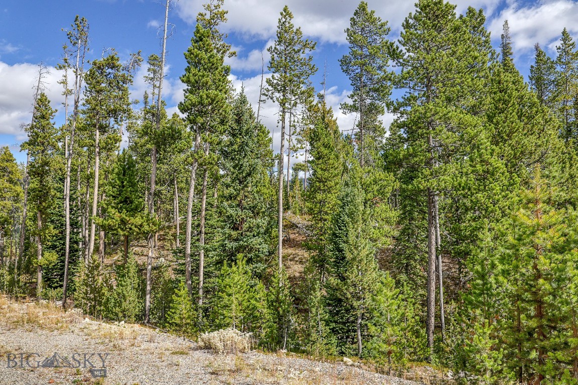 Tbd Territorial Drive Property Photo 6