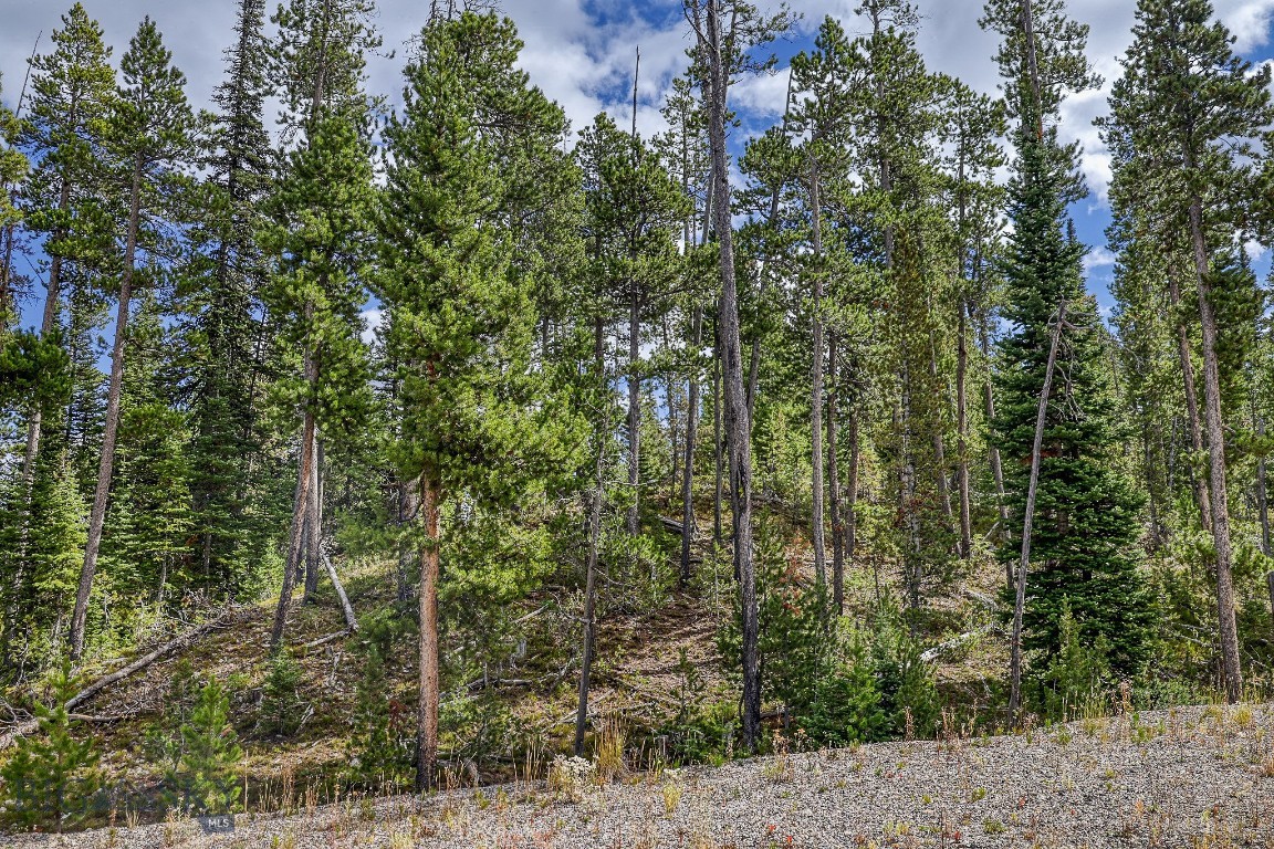 Tbd Territorial Drive Property Photo 7