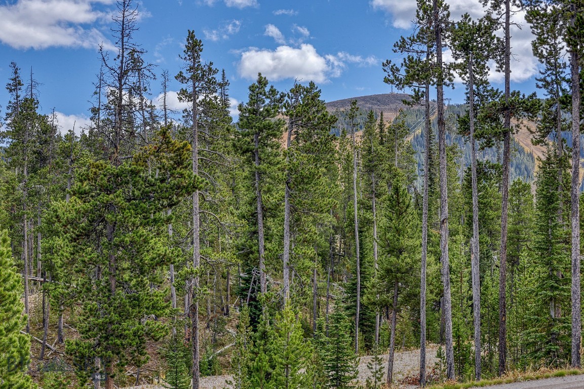 Tbd Territorial Drive Property Photo 10