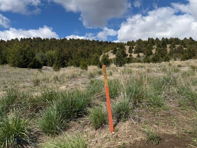 Nhn Tbd Property Photo 29