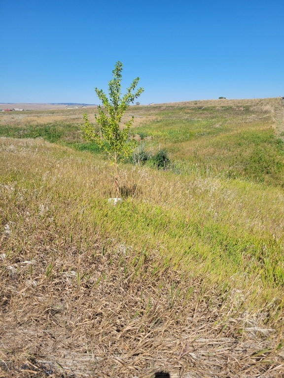 148 Internet Access Property Photo 1