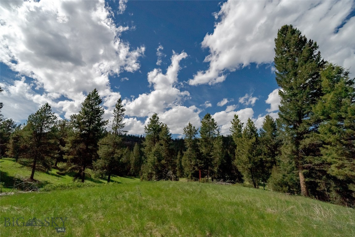 615 Colters Run Loop Property Photo 8