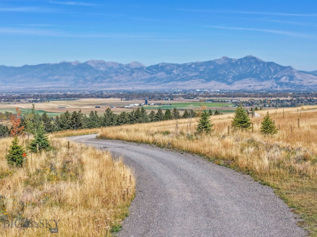 346 Lumine Lane Property Photo 29