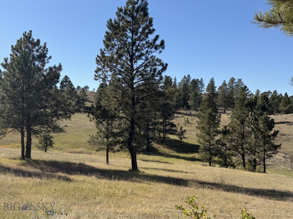 252 Rock Canyon Property Photo 51