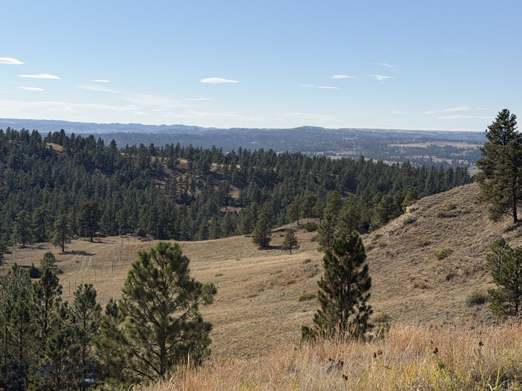 252 Rock Canyon Property Photo 60