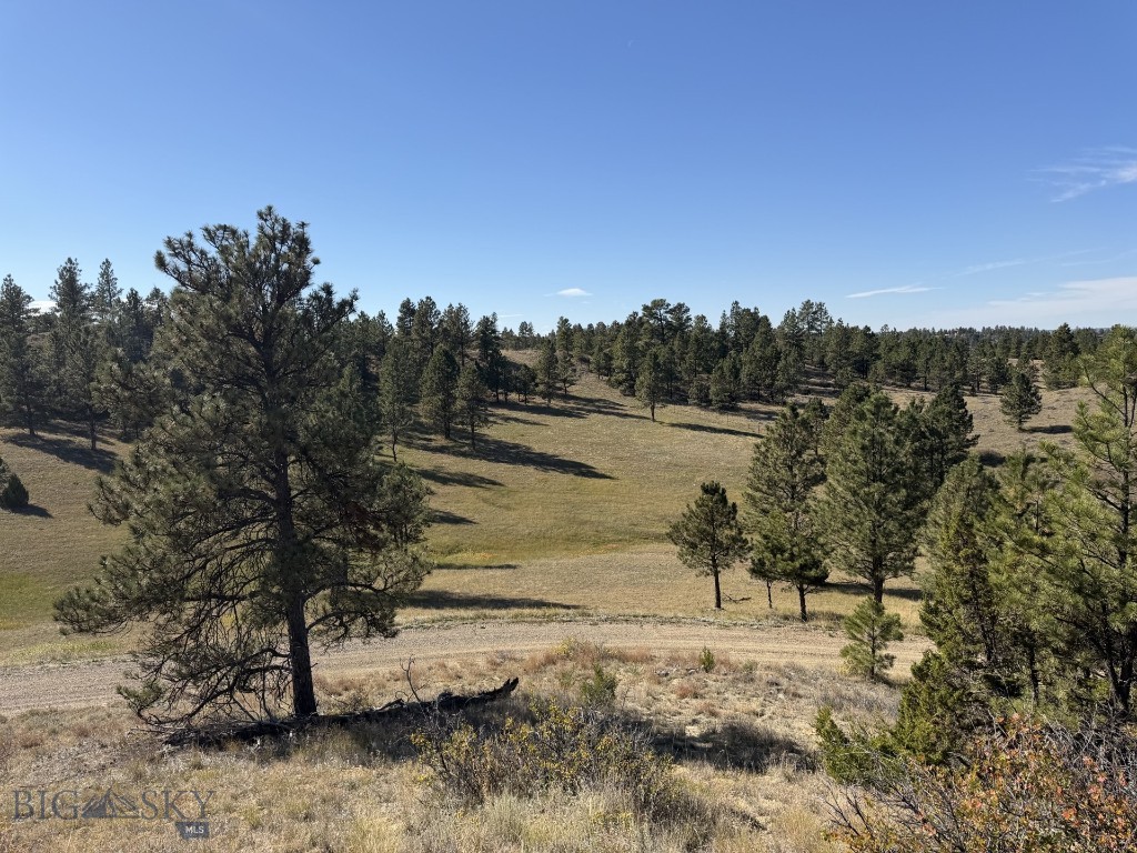 252 Rock Canyon Property Photo 65