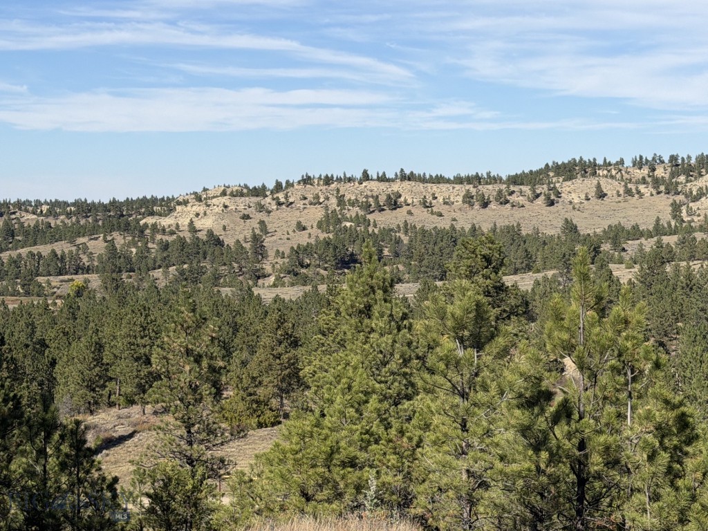 252 Rock Canyon Property Photo 67