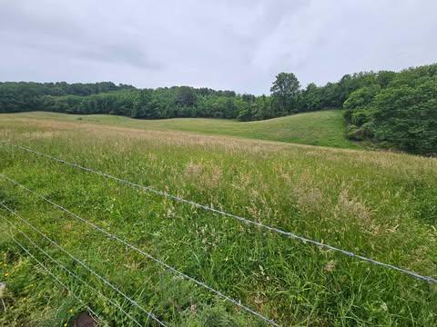 1366 Spring Valley Road Property Photo 1