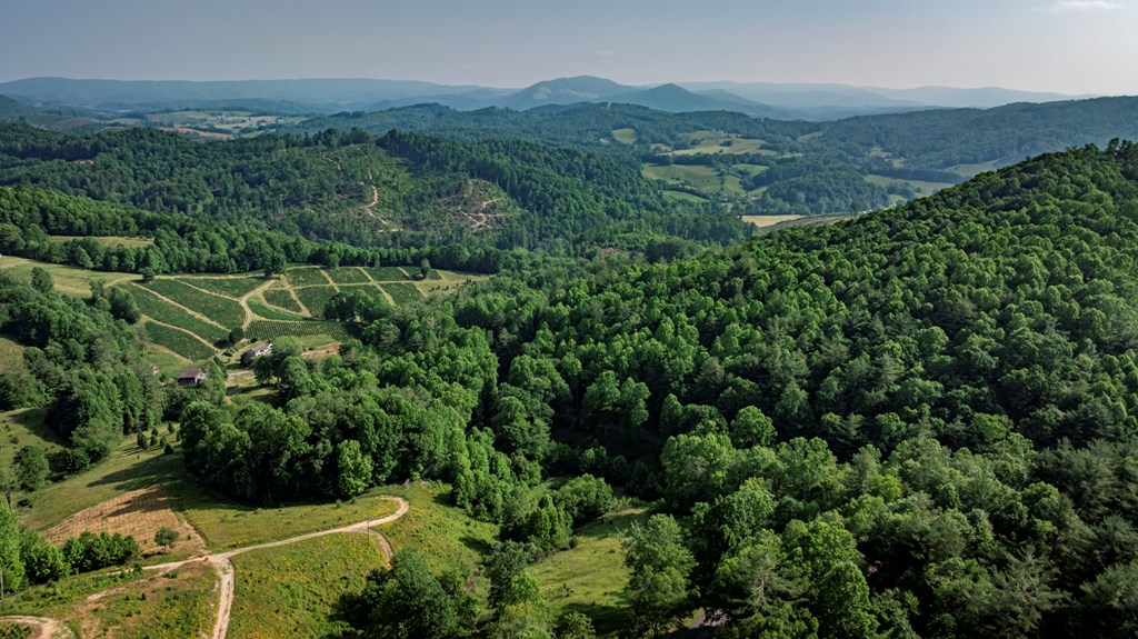 1029 York Ridge Rd. Property Photo 16