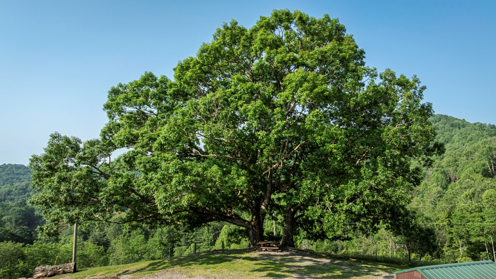 1029 York Ridge Rd. Property Photo 43