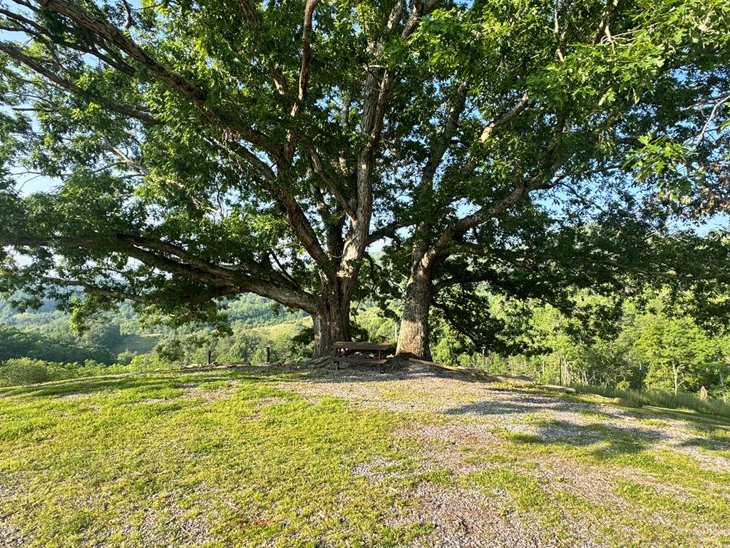 1029 York Ridge Rd. Property Photo 44