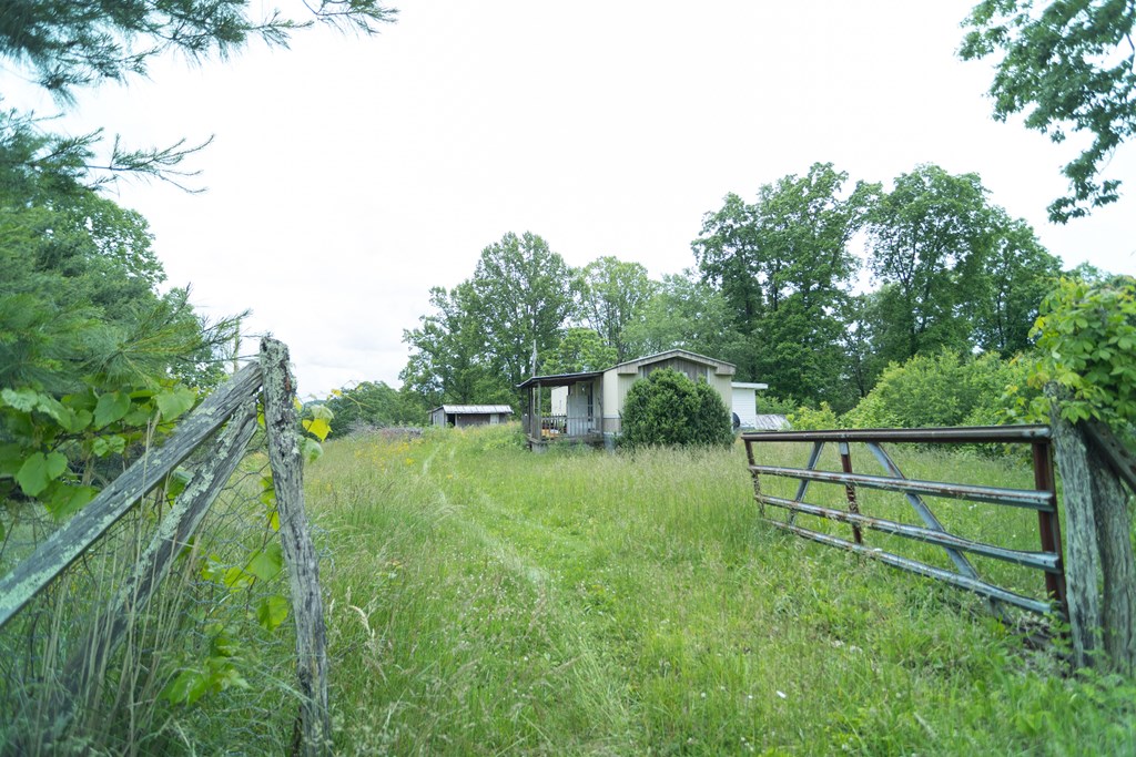 3195 Osborne Mountain Road Property Photo 18