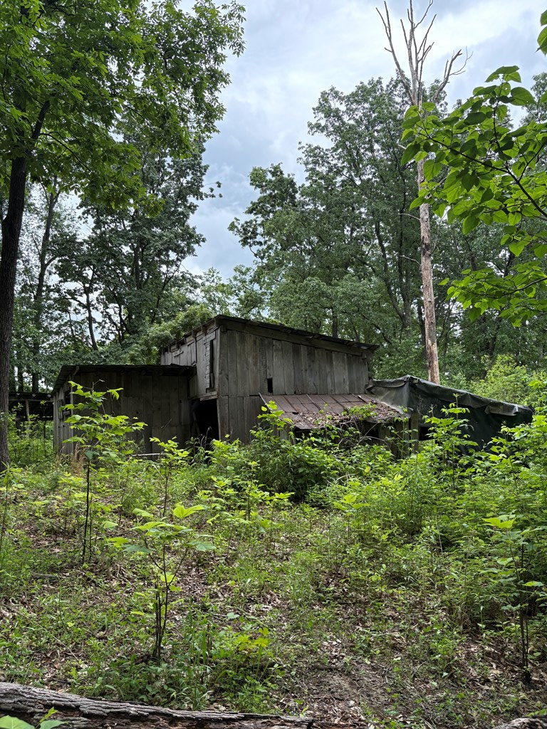 3195 Osborne Mountain Road Property Photo 21