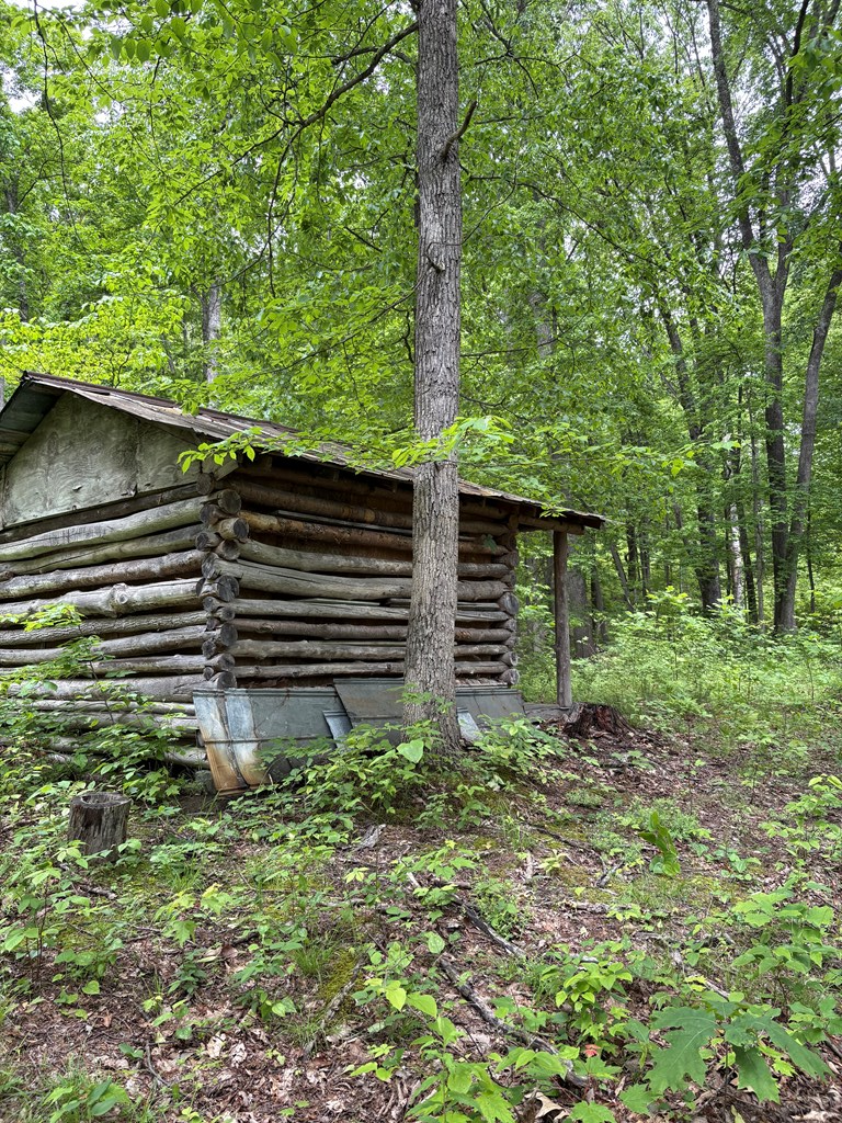 3195 Osborne Mountain Road Property Photo 24