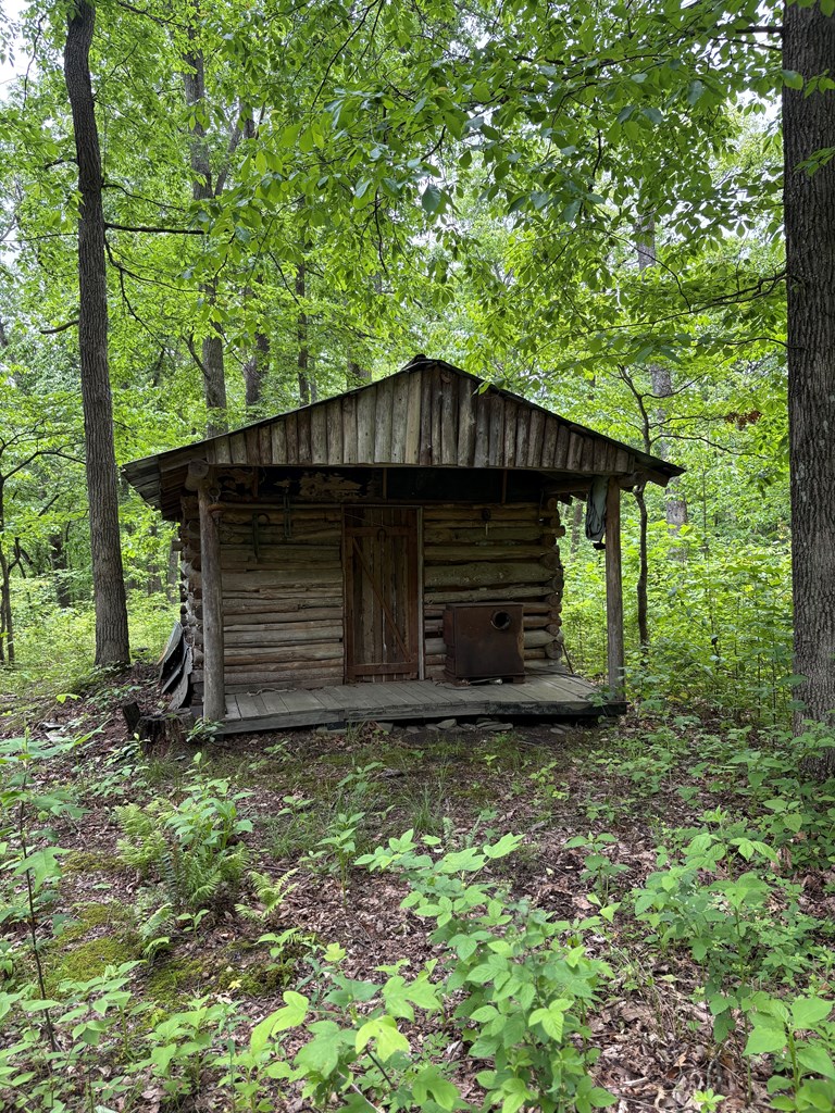 3195 Osborne Mountain Road Property Photo 25